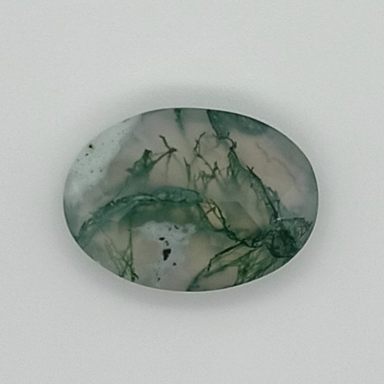 Tree Agate 6.68 Ct Gem Quality Tree Agate 6.68 Ct Gem Quality